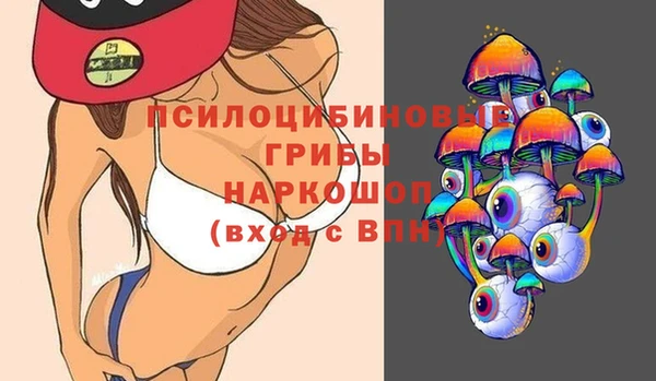 ПСИЛОЦИБИНОВЫЕ ГРИБЫ Белокуриха